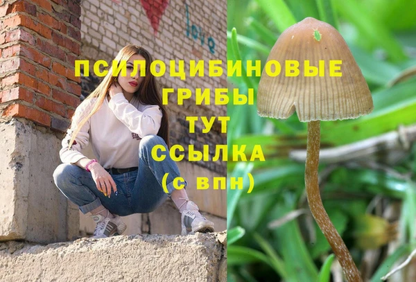альфа пвп Няндома