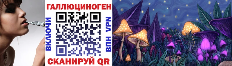 Псилоцибиновые грибы мухоморы  где купить наркоту  Юрьев-Польский 